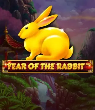 Year Of The Rabbit